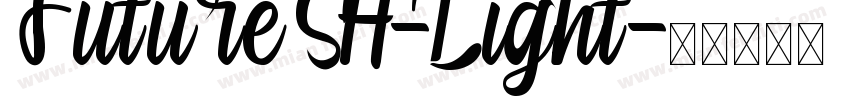 Future SH-Light字体转换